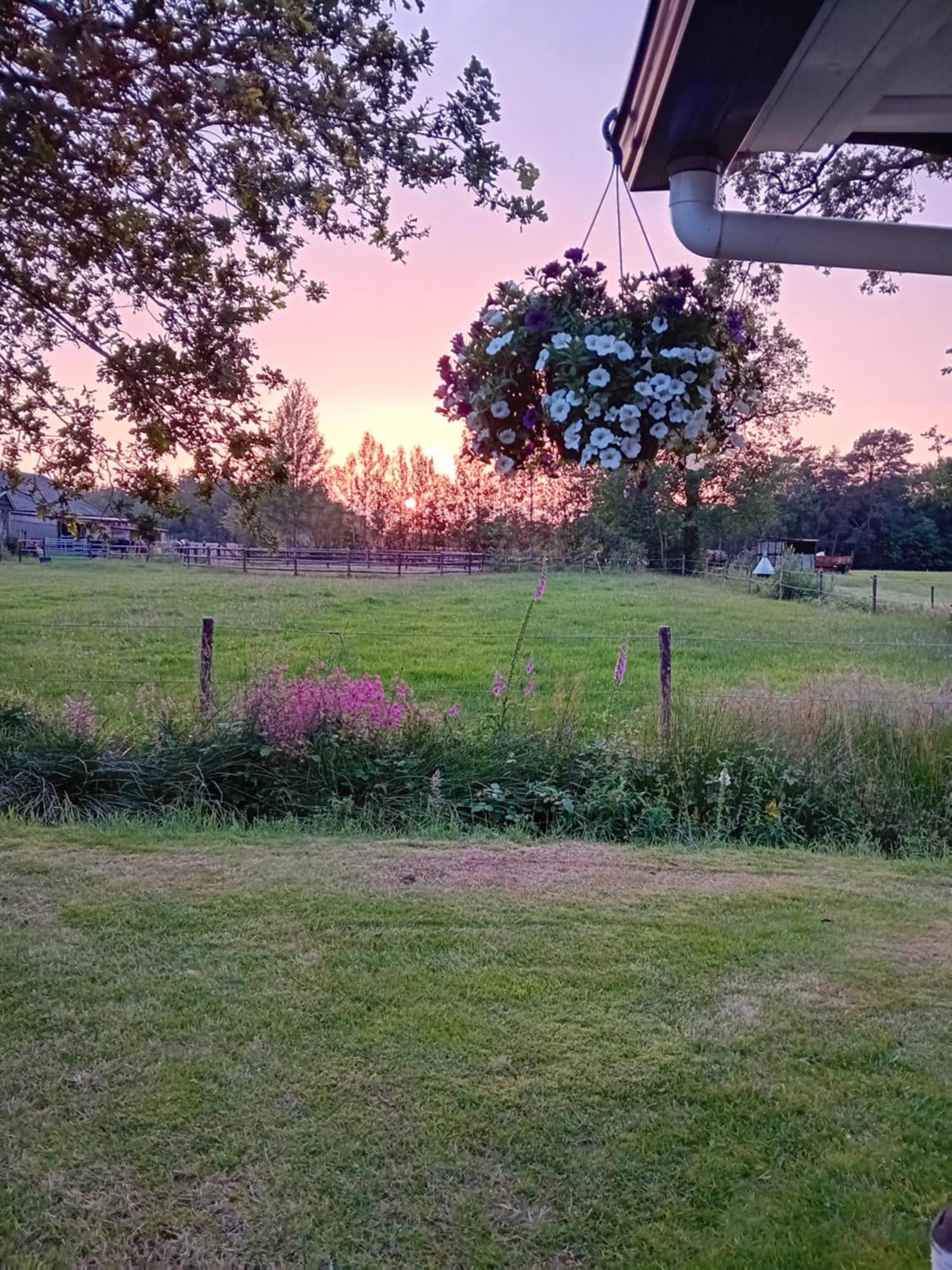 B&B Stripsein Wijnjewoude Extérieur photo