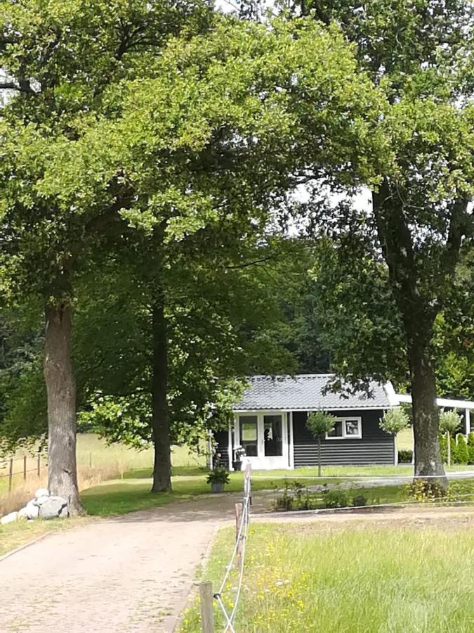 B&B Stripsein Wijnjewoude Extérieur photo